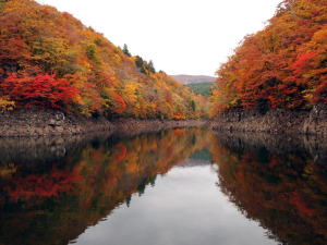 遊覧船からの紅葉